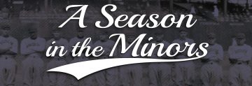 A Season in the Minors